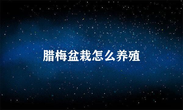 腊梅盆栽怎么养殖