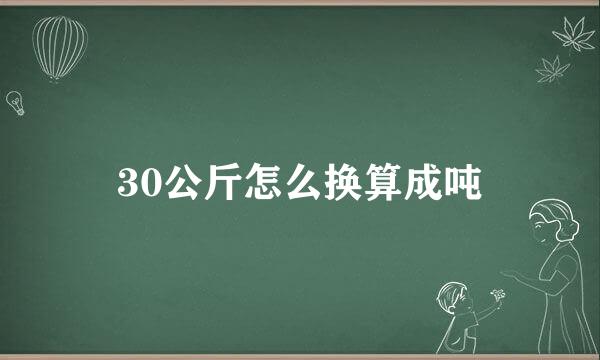 30公斤怎么换算成吨