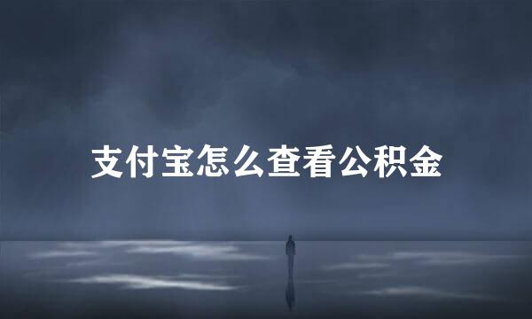 支付宝怎么查看公积金