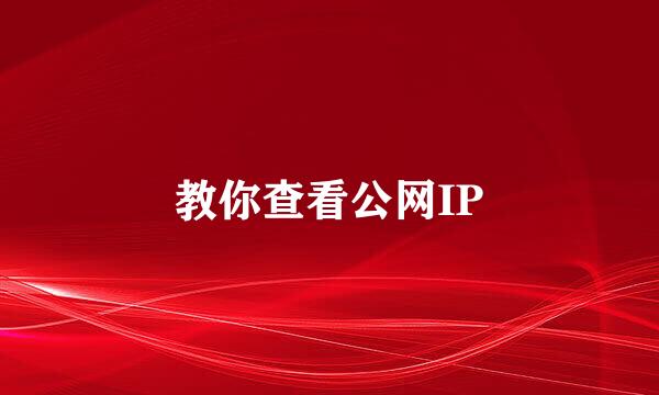 教你查看公网IP