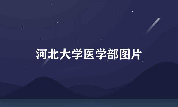 河北大学医学部图片
