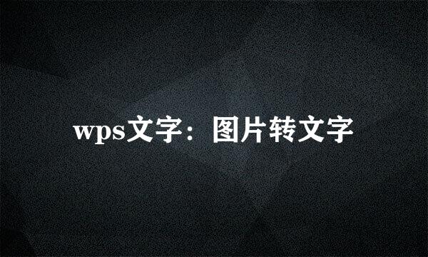 wps文字：图片转文字