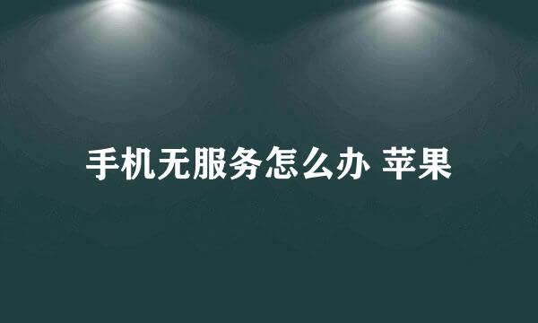 手机无服务怎么办 苹果