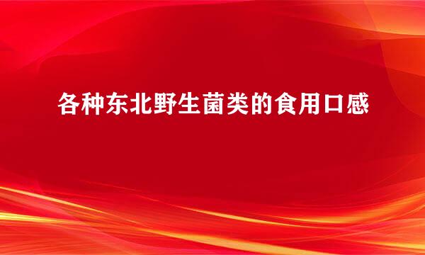 各种东北野生菌类的食用口感