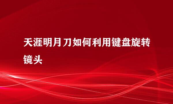 天涯明月刀如何利用键盘旋转镜头