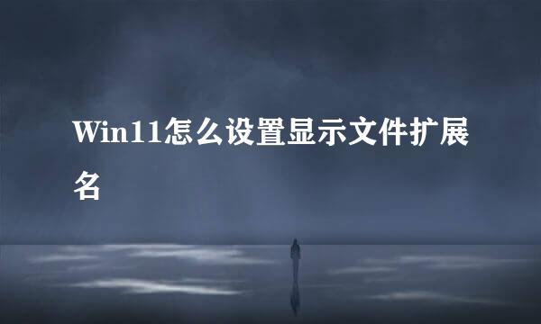 Win11怎么设置显示文件扩展名