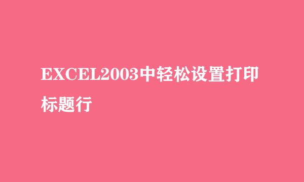EXCEL2003中轻松设置打印标题行