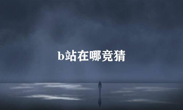 b站在哪竞猜