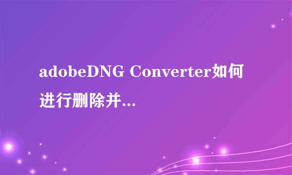 adobeDNG Converter如何进行删除并清理注册表
