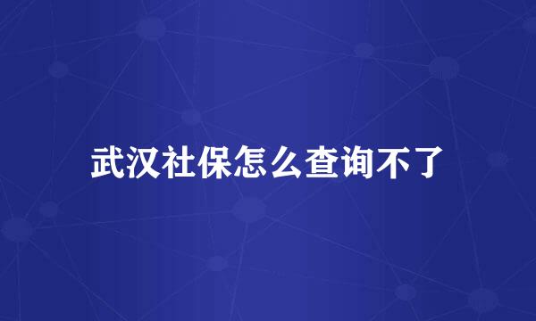 武汉社保怎么查询不了