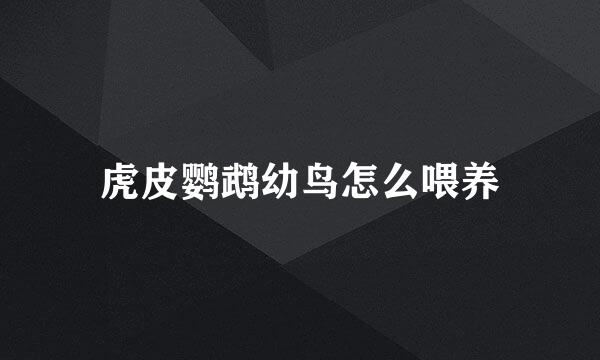 虎皮鹦鹉幼鸟怎么喂养