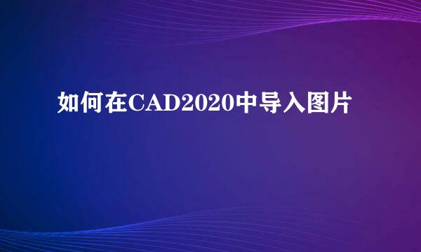 如何在CAD2020中导入图片