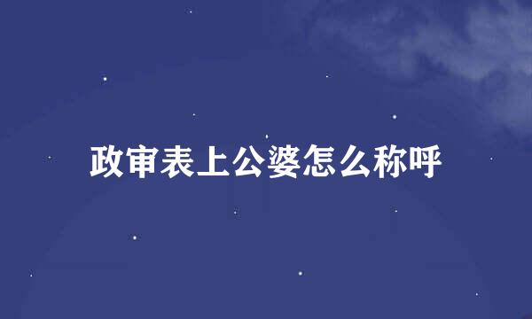 政审表上公婆怎么称呼