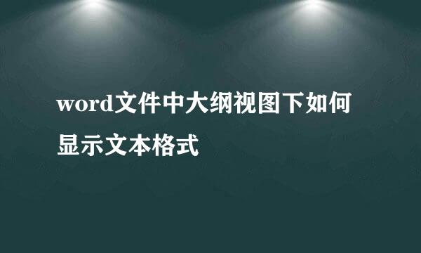 word文件中大纲视图下如何显示文本格式