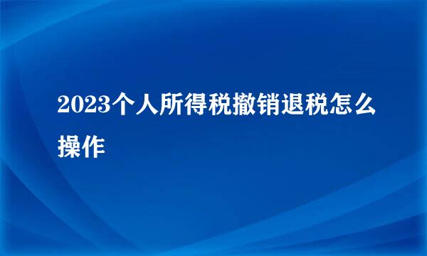 2023个人所得税撤销退税怎么操作
