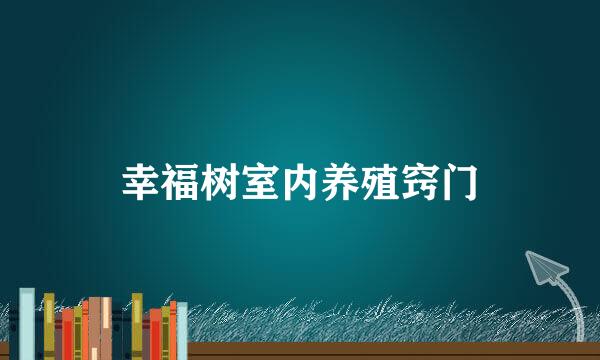 幸福树室内养殖窍门