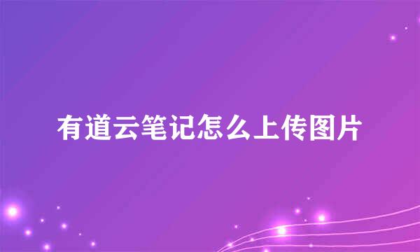 有道云笔记怎么上传图片
