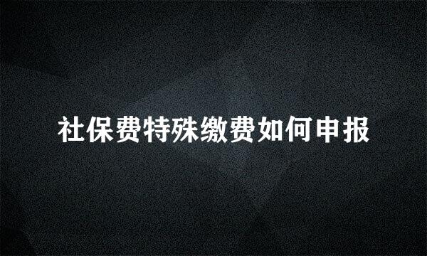 社保费特殊缴费如何申报