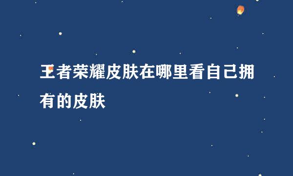 王者荣耀皮肤在哪里看自己拥有的皮肤