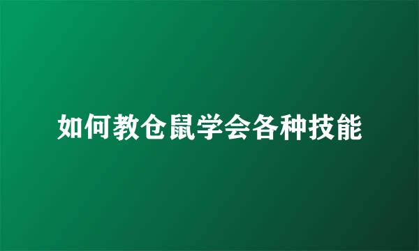 如何教仓鼠学会各种技能