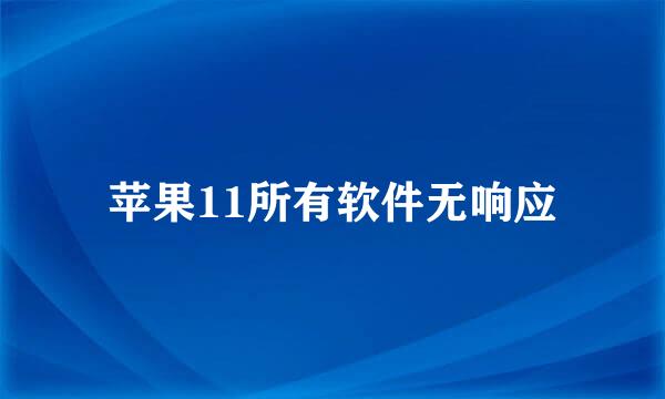 苹果11所有软件无响应
