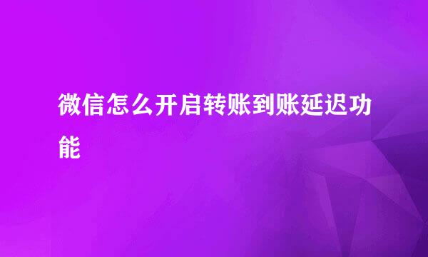微信怎么开启转账到账延迟功能