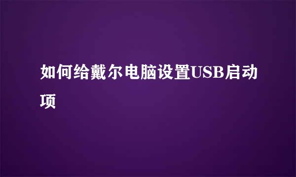 如何给戴尔电脑设置USB启动项