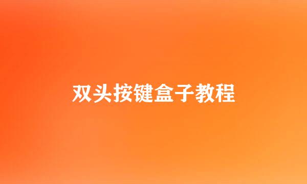 双头按键盒子教程