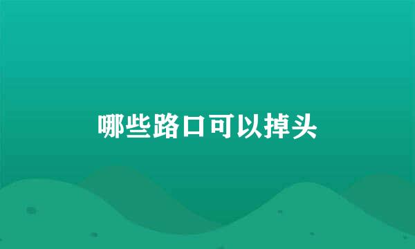 哪些路口可以掉头