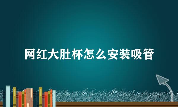 网红大肚杯怎么安装吸管
