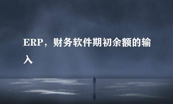ERP，财务软件期初余额的输入