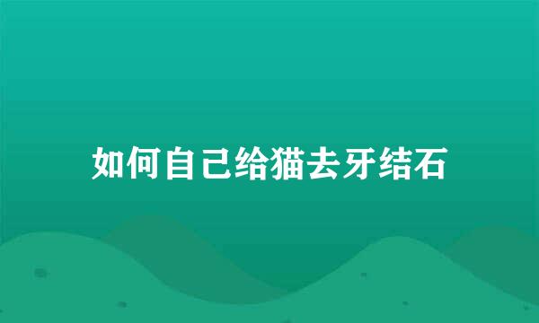 如何自己给猫去牙结石