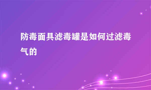 防毒面具滤毒罐是如何过滤毒气的