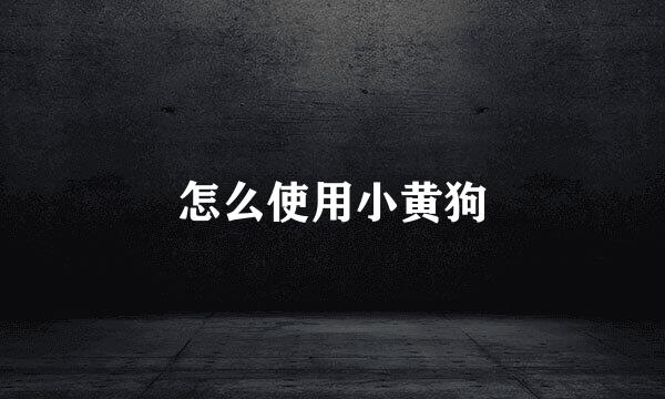 怎么使用小黄狗