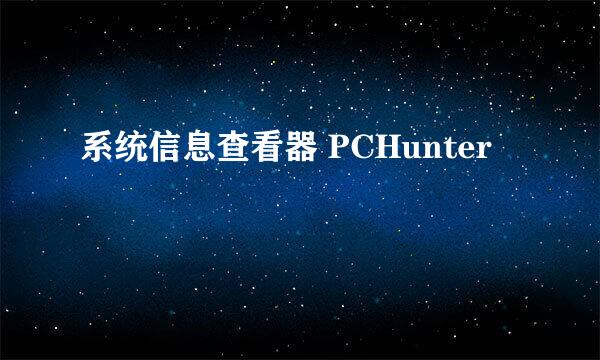 系统信息查看器 PCHunter