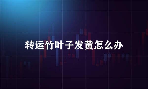 转运竹叶子发黄怎么办