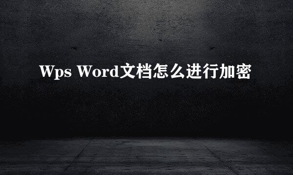 Wps Word文档怎么进行加密
