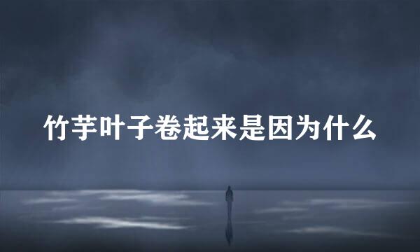 竹芋叶子卷起来是因为什么