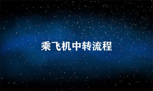 乘飞机中转流程