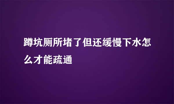 蹲坑厕所堵了但还缓慢下水怎么才能疏通