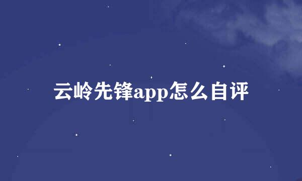 云岭先锋app怎么自评