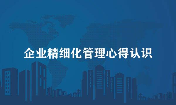 企业精细化管理心得认识