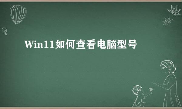 Win11如何查看电脑型号
