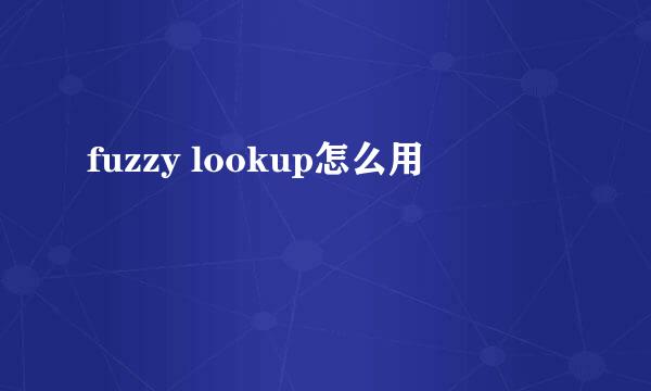 fuzzy lookup怎么用