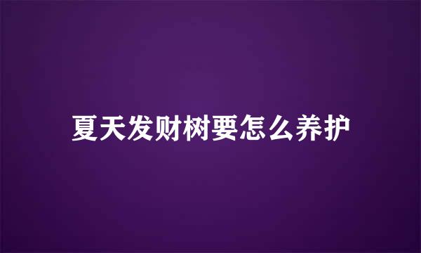 夏天发财树要怎么养护