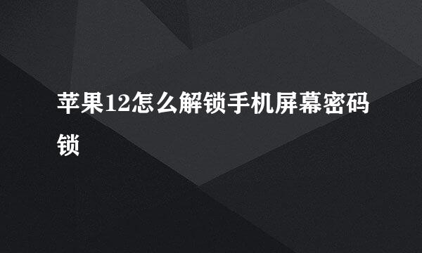 苹果12怎么解锁手机屏幕密码锁