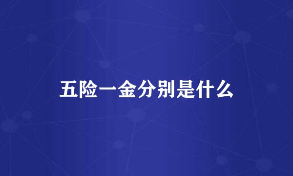 五险一金分别是什么