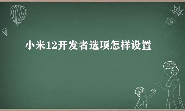 小米12开发者选项怎样设置