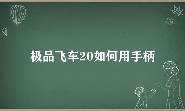 极品飞车20如何用手柄