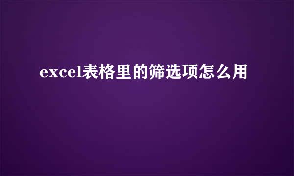 excel表格里的筛选项怎么用